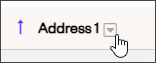 sort and filter option mouse hober.png